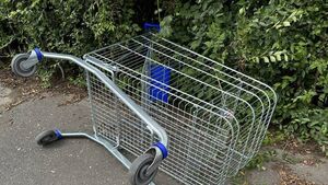 Shopping trollies should be fitted with wheel lock devices, says Waterford councillor Shopping trollies should be fitted with wheel lock devices, says Waterford councillor