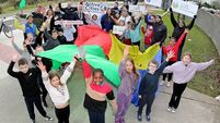 National Council Day to be celebrated in Waterford