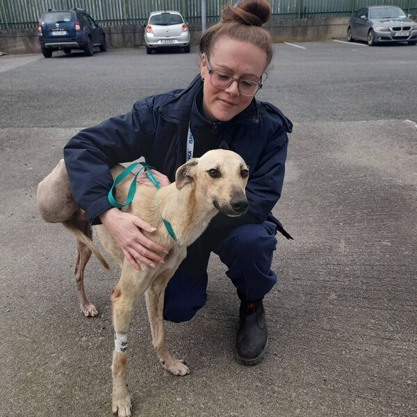 ISPCA Inspector Alice Lacey with Lenny