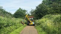 Overgrown hedgerows pose safety risk, while hauliers complain of losing mirrors