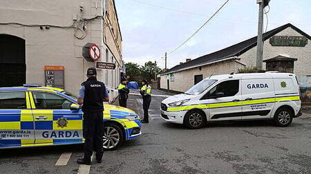 Man arrested over fatal hit-and-run incident in Co Dublin