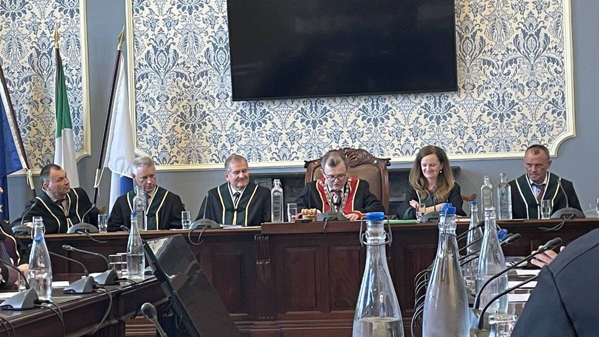 Seamus Ryan elected Mayor of Waterford