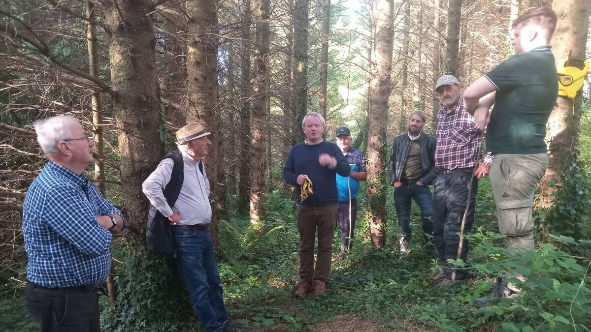 Farming: Latest from Waterford Forest Owners Group