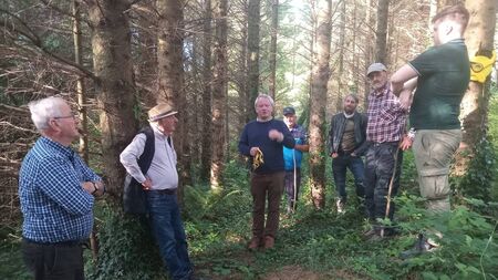 Farming: Latest from Waterford Forest Owners Group