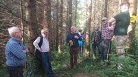 Farming: Latest from Waterford Forest Owners Group 