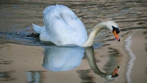 Thinking globally and acting locally to combat the environmental threat