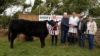 Farming: All roads lead to Bannow Rathangan!