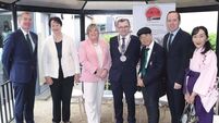 Celebrating 10 years of Waterford's Lafcadio Hearn Japanese Gardens
