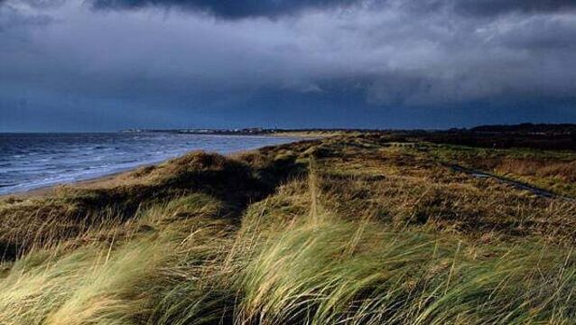 Remains discovered on Scottish beach ‘linked to body found in Co Down’