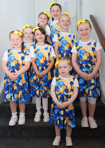 The 4-6 year olds in David Hennessy Stage School's Seussical the Musical. The 4-6 year olds in David Hennessy Stage School's Seussical the Musical.