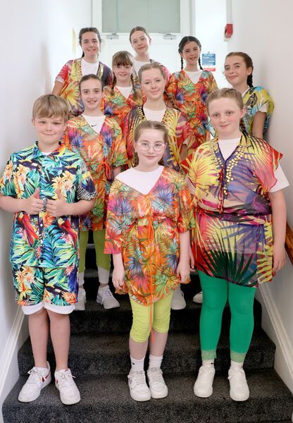 The 10-12 year olds in David Hennessy Stage School's Seussical the Musical. The 10-12 year olds in David Hennessy Stage School's Seussical the Musical.