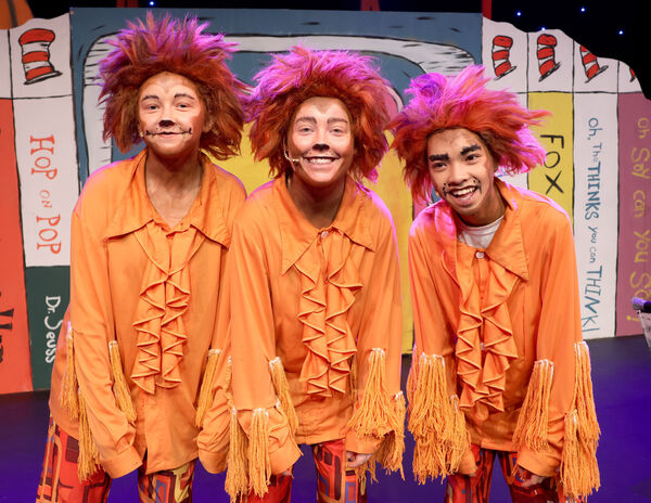 The Wickershaw Brothers, Casey Stafford, Zach Smith and Evan Walsh, in David Hennessy Stage School's Seussical the Musical. The Wickershaw Brothers, Casey Stafford, Zach Smith and Evan Walsh, in David Hennessy Stage School's Seussical the Musical.