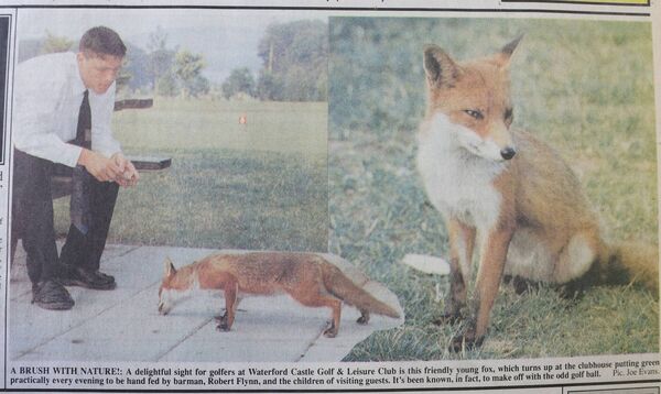 From the Waterford News & Star Archives From the Waterford News & Star Archives