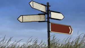 'It's almost become litter itself,' Waterford council asked to move signs 'It's almost become litter itself,' Waterford council asked to move signs
