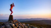 Opening of brand new art gallery takes place during Waterford's Comeraghs Wild Festival