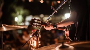 What's on in Waterford: Outdoor gigs, live music, international bands and more