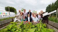 Waterford Harvest Festival organisers speak on exciting lineup for this September's mega weekend