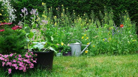 Green Fingers: Gardening on the wild side
