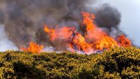 Houses evacuated as gorse fire rages in Waterford city suburbs