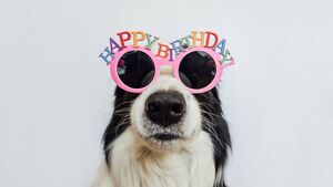 Local Notes: Birthday corner, wedding anniversaries, mini world cup and more from St Saviour's Local Notes: Birthday corner, wedding anniversaries, mini world cup and more from St Saviour's