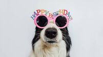 Local Notes: Birthday corner, wedding anniversaries, mini world cup and more from St Saviour's