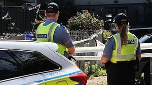 Gardaí arrest man after fatal assault of pensioner in Limerick city overnight Gardaí arrest man after fatal assault of pensioner in Limerick city overnight