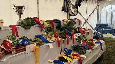 Waterford's 106th Dungarvan Show attracts massive crowds to Ballygagin