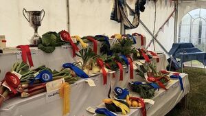 Waterford's 106th Dungarvan Show attracts massive crowds to Ballygagin