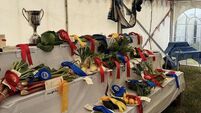 Waterford's 106th Dungarvan Show attracts massive crowds to Ballygagin