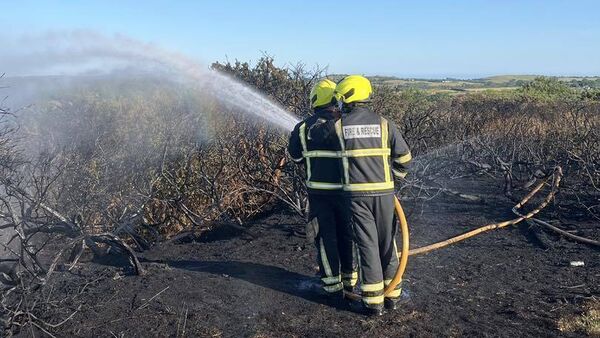 Emergency services tackle gorse fires in residential area of Waterford City