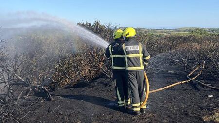 Emergency services tackle gorse fires in residential area of Waterford City