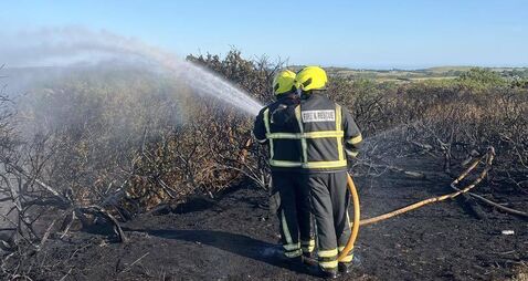 Emergency services tackle gorse fires in residential area of Waterford City