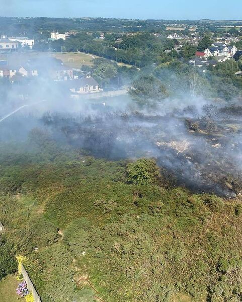 The gorse fire raged close to homes in Williamstown in Waterford city. The gorse fire raged close to homes in Williamstown in Waterford city.