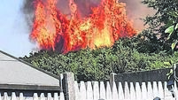 Editorial: Gorse fires blaze frighteningly close to Waterford city homes