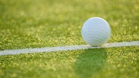 West Waterford councillor donates €2,000 to local club following vandalism incident