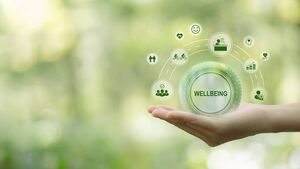 Pilot programme for work place wellbeing in the Déise