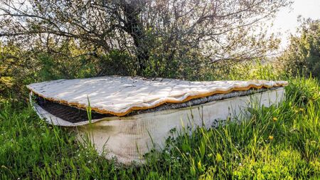 Thorny plants not an option to protect West Waterford monument from illegal dumpers