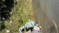 Tramore locals 'stunned' by scale of rubbish left after hot weather
