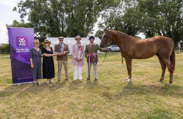 Sarah Duffy (Representing Fitzgerald Family, Sponsor Three Year Old Class), Lisa McGrath (AIB Sponsor: Champion Young Horse) Dermot Barlow (Owner), Laura Kelly (Judge) and Jason Dunphy. Sarah Duffy (Representing Fitzgerald Family, Sponsor Three Year Old Class), Lisa McGrath (AIB Sponsor: Champion Young Horse) Dermot Barlow (Owner), Laura Kelly (Judge) and Jason Dunphy.