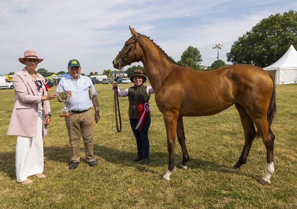 Laura Kelly, Harry Gray, Jane Hearne. Half Bred Yearling Colt. Lenihan Cup for the Half Bread Yearling