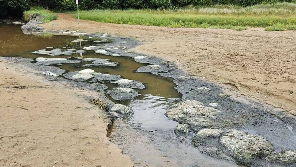 A strange discharge or algae at Woodstown beach. 
