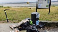 Call for urgent clean up of Waterford beach left in an appalling condition