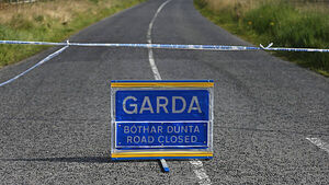 'It's a vile thing to do': Public urged not to share footage of car crashes 'It's a vile thing to do': Public urged not to share footage of car crashes