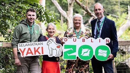 Dublin Zoo Run for Wildlife to become annual event in aid of threatened species