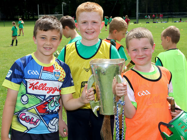 Jackson, Oisin and Padraig, with the Minior Hurling Cup, at Peadar's Summer Camp Ferrybank. Photo: Joe Evans Jackson, Oisin and Padraig, with the Minior Hurling Cup, at Peadar's Summer Camp Ferrybank. Photo: Joe Evans