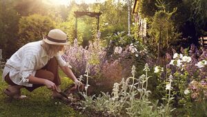 Green Fingers: Exploding a few myths in a world of fake news Green Fingers: Exploding a few myths in a world of fake news