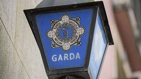 Political leaders condemn ‘appalling’ attack on young garda in Dublin