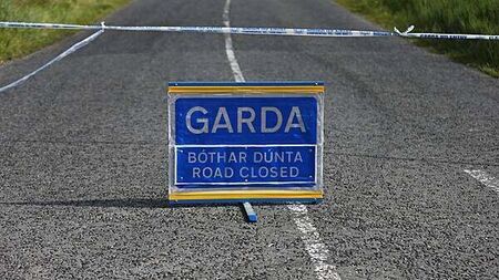 Man (20s) dies and man arrested after single-vehicle collision on M50