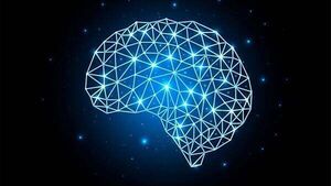 Sexual assault defendants and complainants equally prone to memory gaps – study