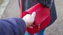 Gardaí appeal after robbery of woman's handbag